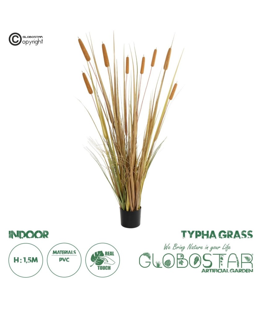 GloboStar® Artificial Garden TYPHA GRASS 21483 Τεχνητό Διακοσμητικό Φυτό Γρασίδι της Τύφας Μ70 x Π40 x Υ150cm